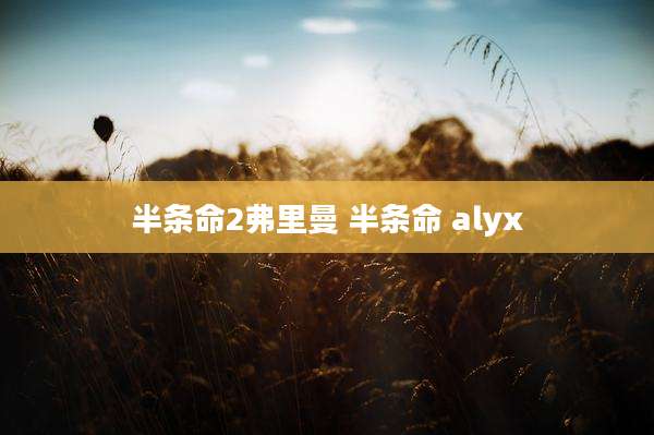 半条命2弗里曼 半条命 alyx