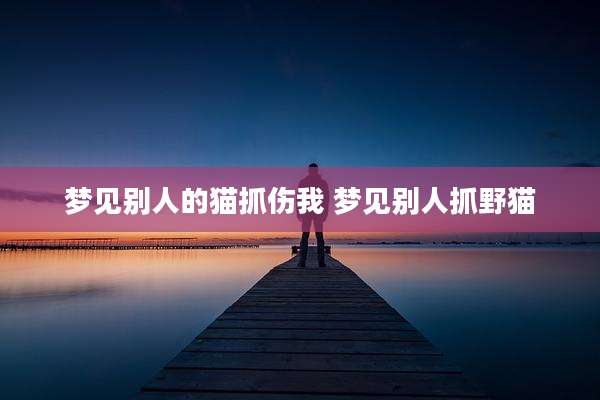 梦见别人的猫抓伤我 梦见别人抓野猫