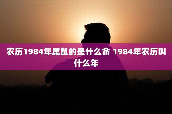 农历1984年属鼠的是什么命 1984年农历叫什么年