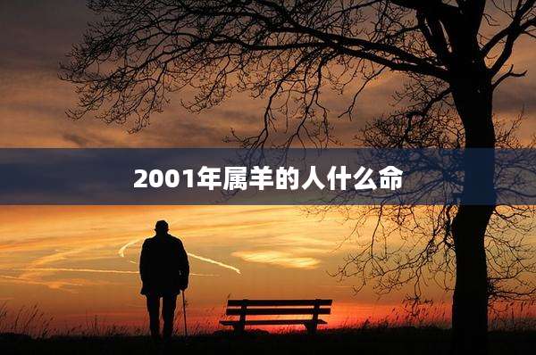 2001年属羊的人什么命