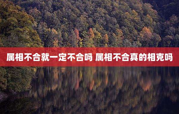 属相不合就一定不合吗 属相不合真的相克吗