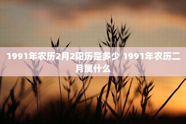 1991年农历2月2阳历是多少 1991年农历二月属什么