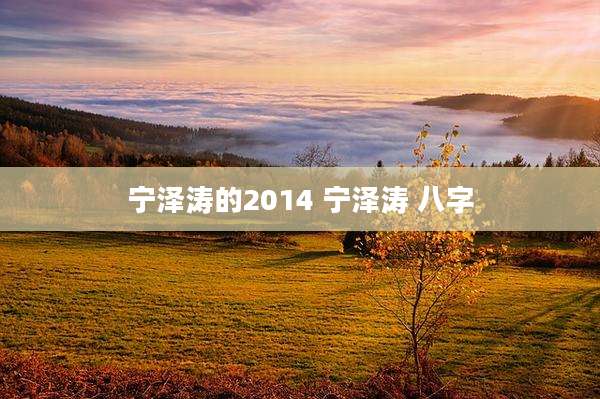 宁泽涛的2014 宁泽涛 八字
