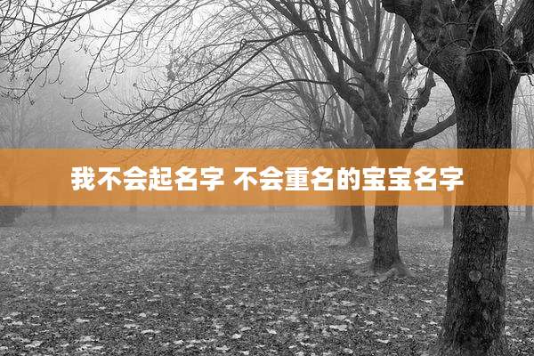 我不会起名字 不会重名的宝宝名字