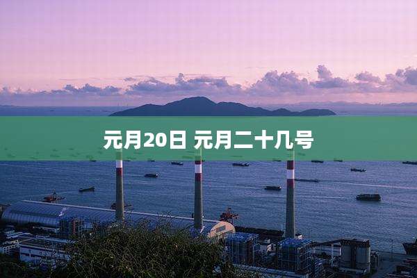 元月20日 元月二十几号