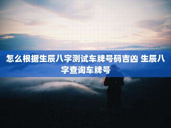 怎么根据生辰八字测试车牌号码吉凶 生辰八字查询车牌号