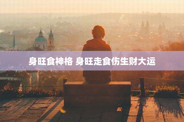 身旺食神格 身旺走食伤生财大运