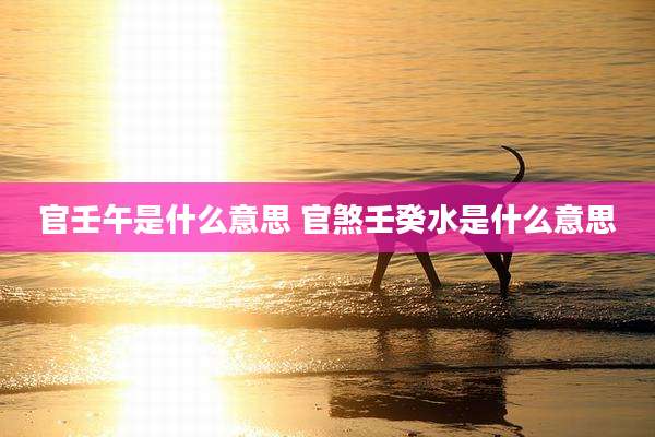 官壬午是什么意思 官煞壬癸水是什么意思