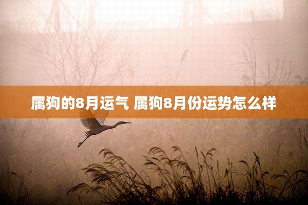 属狗的8月运气 属狗8月份运势怎么样