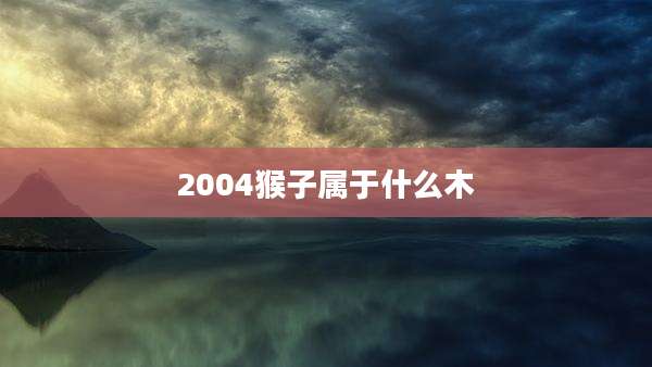 2004猴子属于什么木
