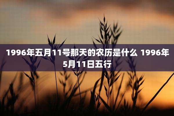 1996年五月11号那天的农历是什么 1996年5月11日五行
