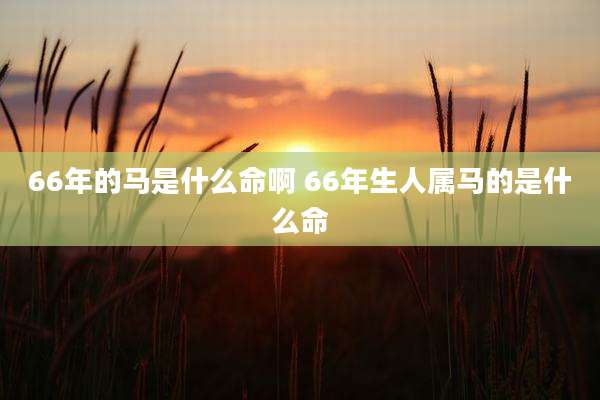 66年的马是什么命啊 66年生人属马的是什么命