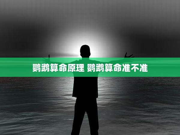 鹦鹉算命原理 鹦鹉算命准不准