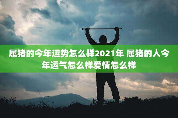 属猪的今年运势怎么样2021年 属猪的人今年运气怎么样爱情怎么样