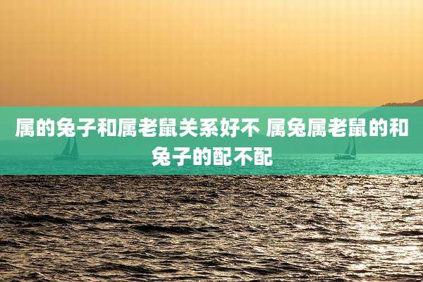 属的兔子和属老鼠关系好不 属兔属老鼠的和兔子的配不配
