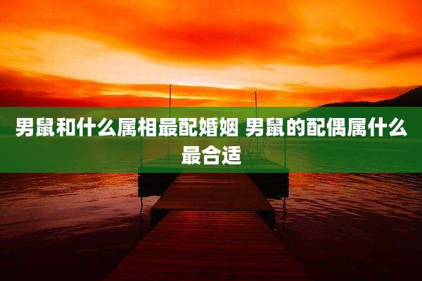 男鼠和什么属相最配婚姻 男鼠的配偶属什么最合适