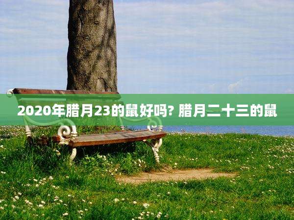 2020年腊月23的鼠好吗? 腊月二十三的鼠