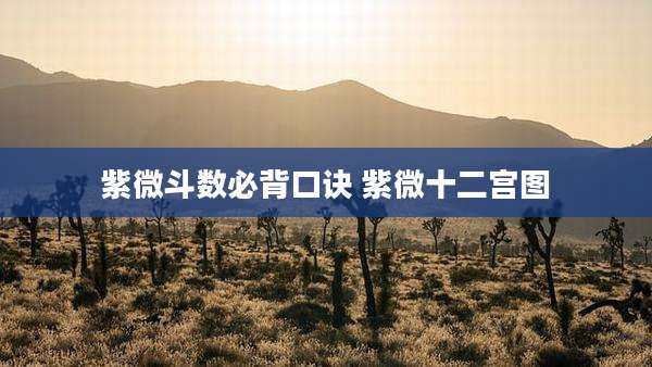 紫微斗数必背口诀 紫微十二宫图