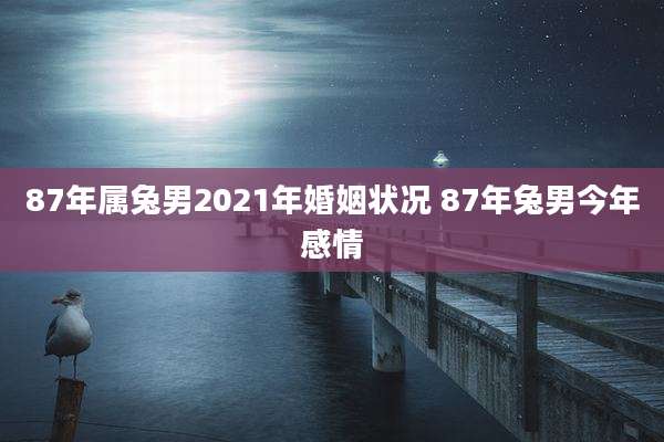 87年属兔男2021年婚姻状况 87年兔男今年感情
