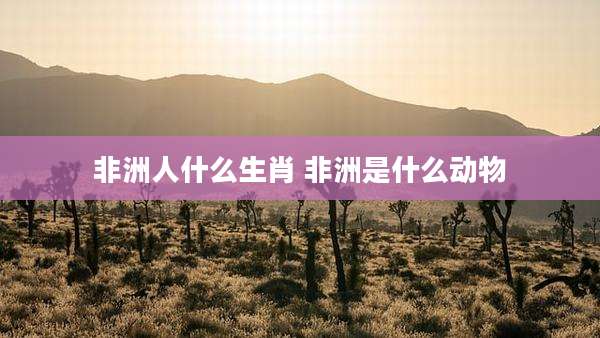 非洲人什么生肖 非洲是什么动物