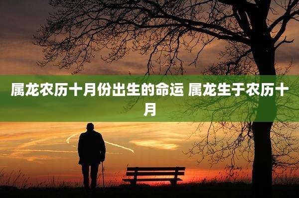 属龙农历十月份出生的命运 属龙生于农历十月