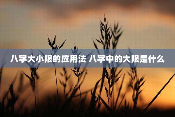 八字大小限的应用法 八字中的大限是什么