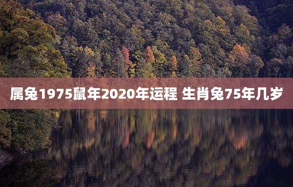 属兔1975鼠年2020年运程 生肖兔75年几岁