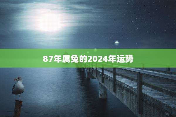 87年属兔的2024年运势
