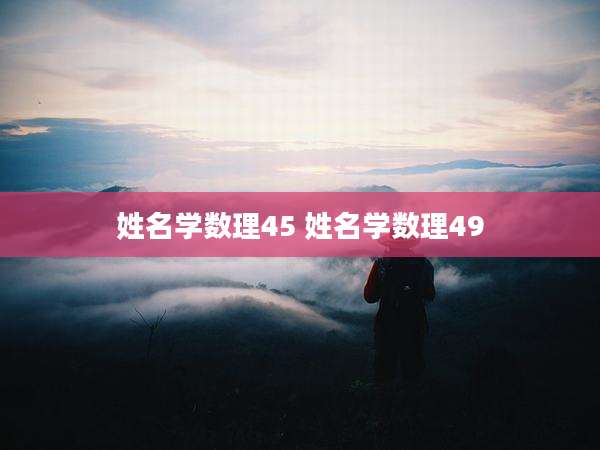姓名学数理45 姓名学数理49