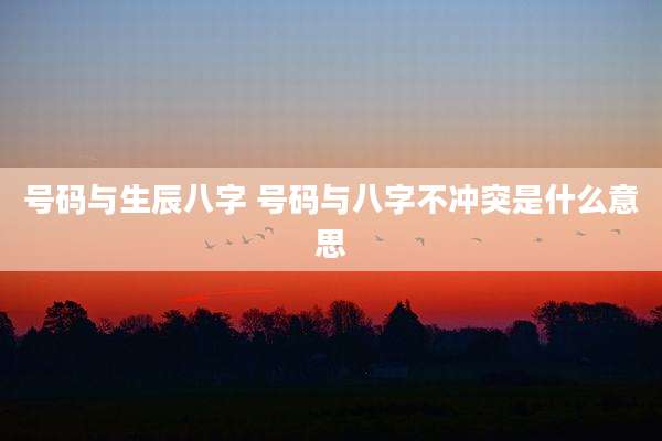 号码与生辰八字 号码与八字不冲突是什么意思