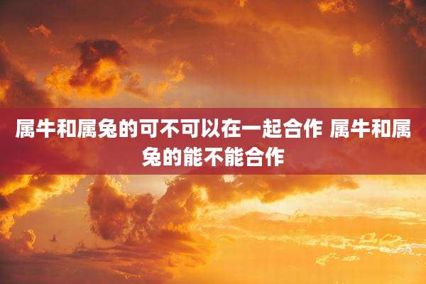 属牛和属兔的可不可以在一起合作 属牛和属兔的能不能合作