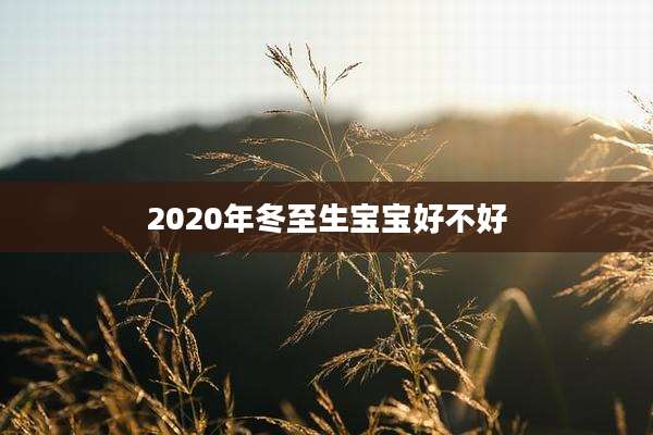 2020年冬至生宝宝好不好