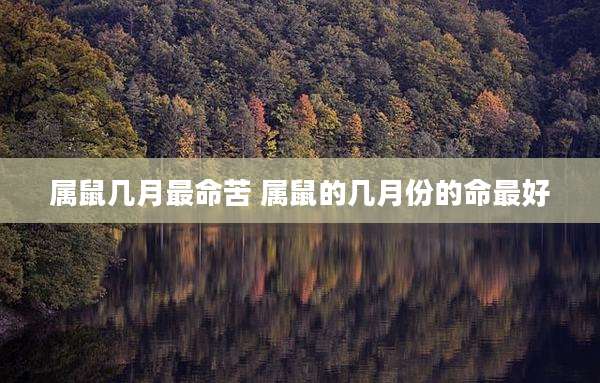 属鼠几月最命苦 属鼠的几月份的命最好