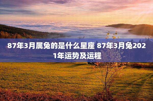 87年3月属兔的是什么星座 87年3月兔2021年运势及运程