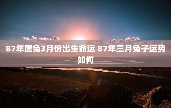 87年属兔3月份出生命运 87年三月兔子运势如何
