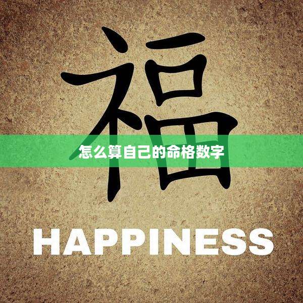 怎么算自己的命格数字
