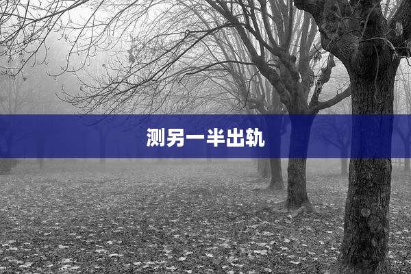 测另一半出轨