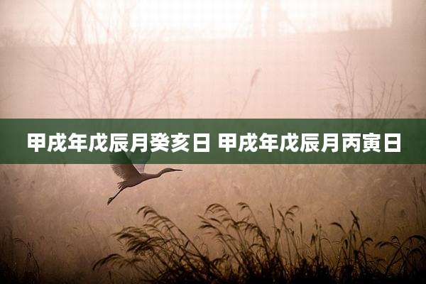 甲戌年戊辰月癸亥日 甲戌年戊辰月丙寅日
