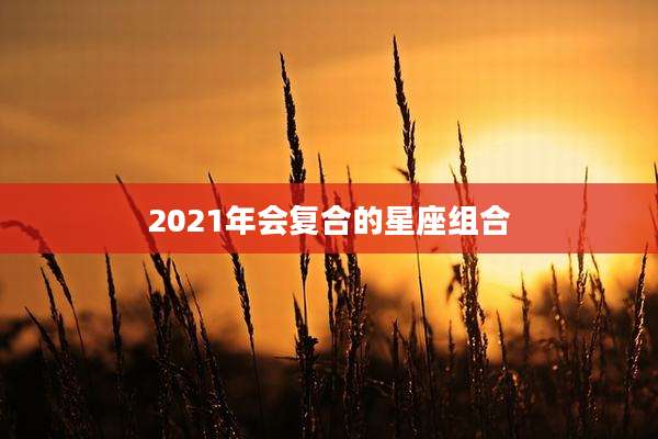 2021年会复合的星座组合