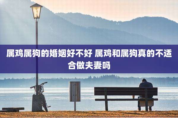 属鸡属狗的婚姻好不好 属鸡和属狗真的不适合做夫妻吗