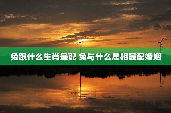 兔跟什么生肖最配 兔与什么属相最配婚姻