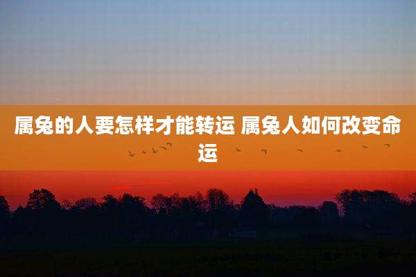属兔的人要怎样才能转运 属兔人如何改变命运