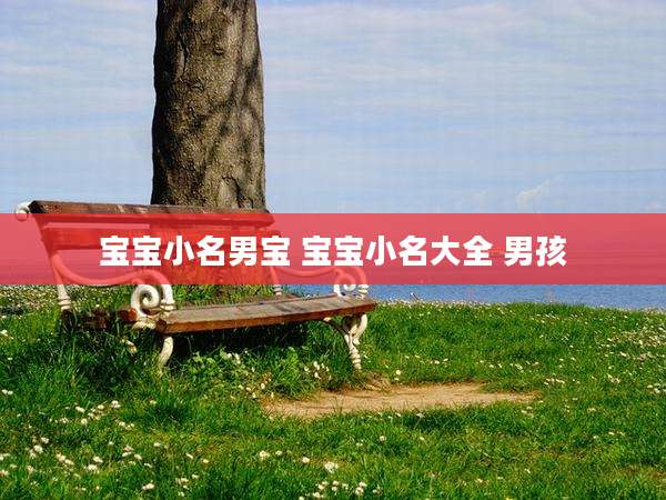 宝宝小名男宝 宝宝小名大全 男孩