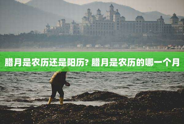 腊月是农历还是阳历? 腊月是农历的哪一个月