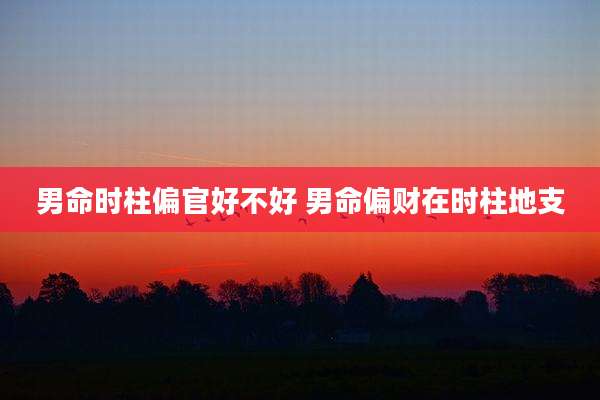 男命时柱偏官好不好 男命偏财在时柱地支