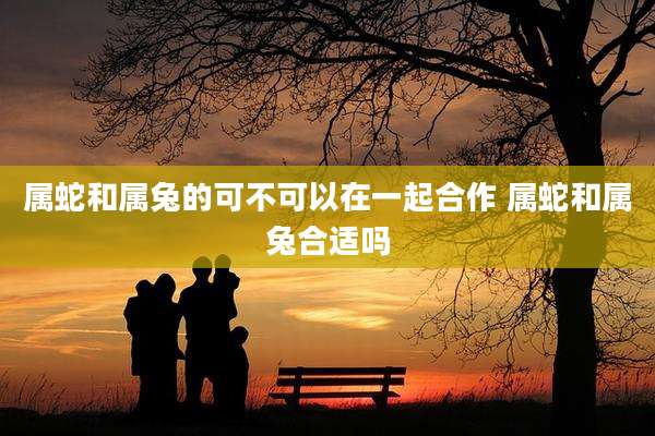 属蛇和属兔的可不可以在一起合作 属蛇和属兔合适吗
