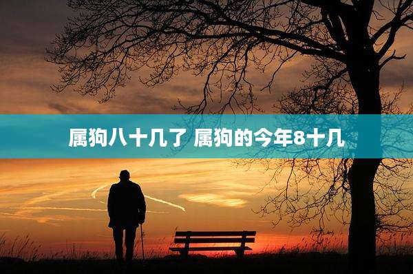 属狗八十几了 属狗的今年8十几