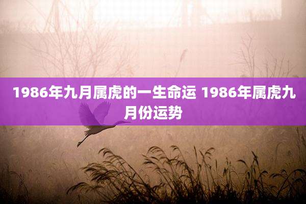 1986年九月属虎的一生命运 1986年属虎九月份运势