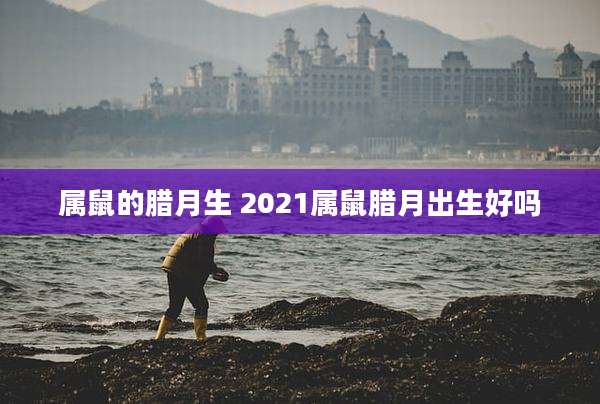 属鼠的腊月生 2021属鼠腊月出生好吗
