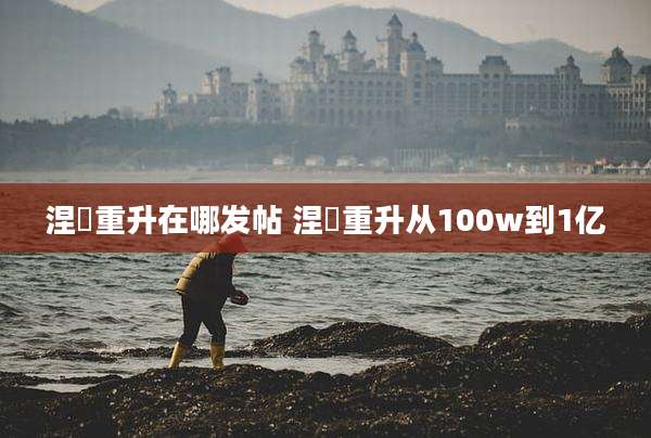 涅槃重升在哪发帖 涅槃重升从100w到1亿